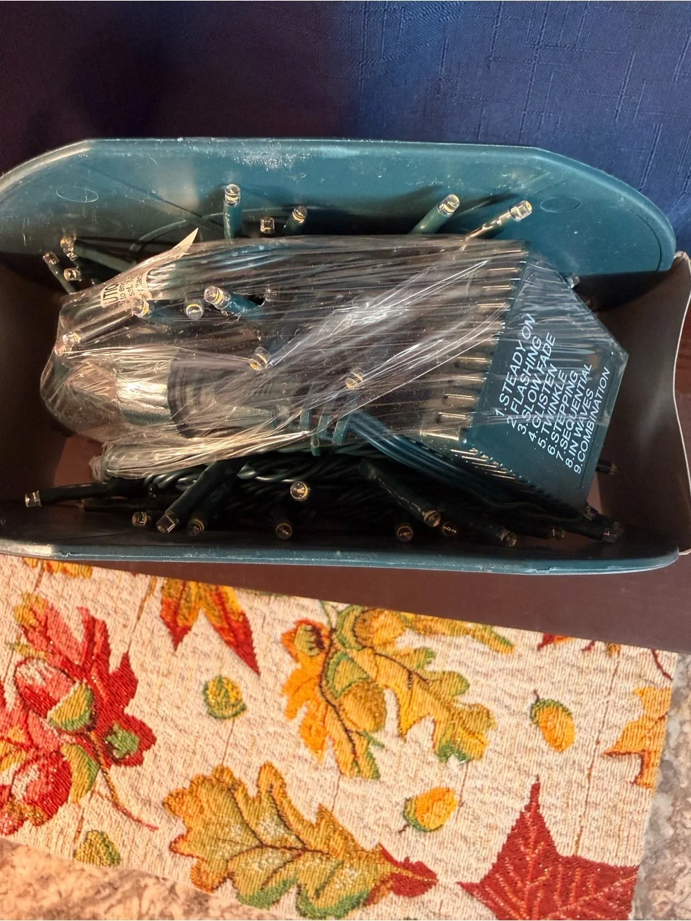 Philips Teal Reel 250 Warm White String Lights